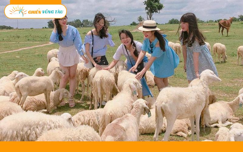 Top 5 tour du lịch Vũng Tàu 3 ngày 2 đêm giá tốt, đáng thử nhất 8 tour du lịch vũng tàu 3 ngày 2 đêm