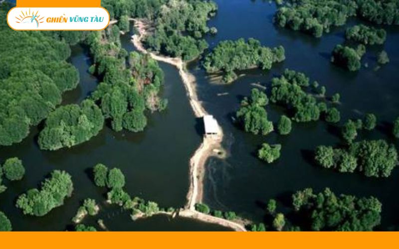Top 5+ tour Bình Châu 1 ngày đáng trải nghiệm nhất 10 tour bình châu 1 ngày