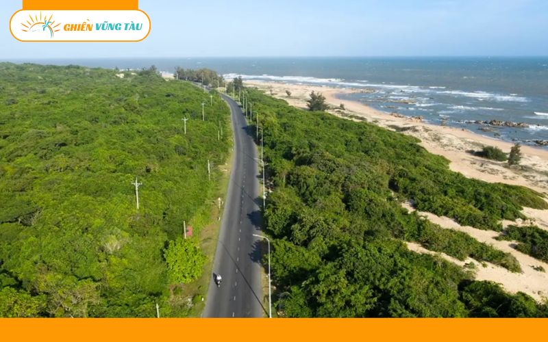 Top 5+ tour Bình Châu 1 ngày đáng trải nghiệm nhất 11 tour bình châu 1 ngày