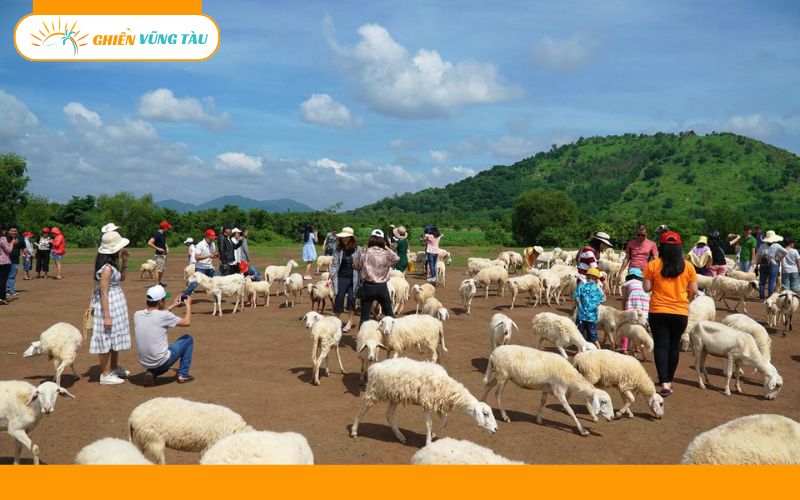 Top 5 tour Bình Châu 2 ngày 1 đêm giá rẻ, được yêu thích nhất 11 tour bình châu 2 ngày 1 đêm