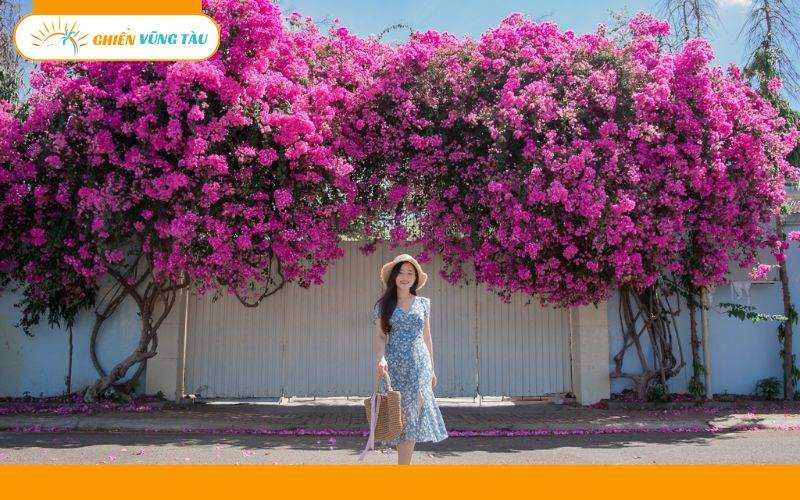 Top 5 tour Côn Đảo 1 ngày giá rẻ, chất lượng, lịch trình hay 11 tour côn đảo 1 ngày