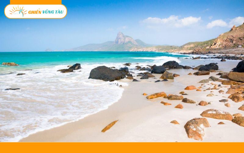 Top 5 tour Phước Hải 1 ngày giá rẻ, đi về trong ngày siêu tiện 8 tour phước hải 1 ngày