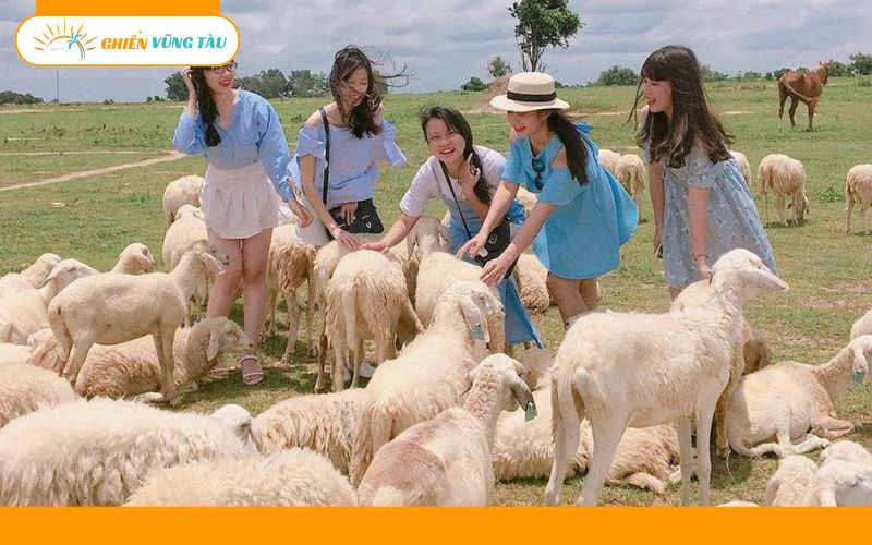 Top 6 tour Phước Hải 2 ngày 1 đêm hấp dẫn không nên bỏ lỡ 8 tour phước hải 2 ngày 1 đêm