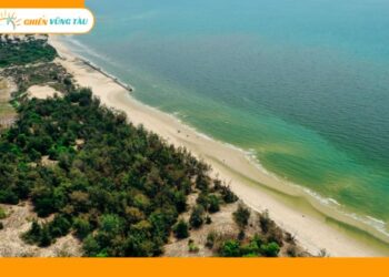 bãi biển đồi nhái