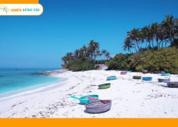 bãi dứa vũng tàu