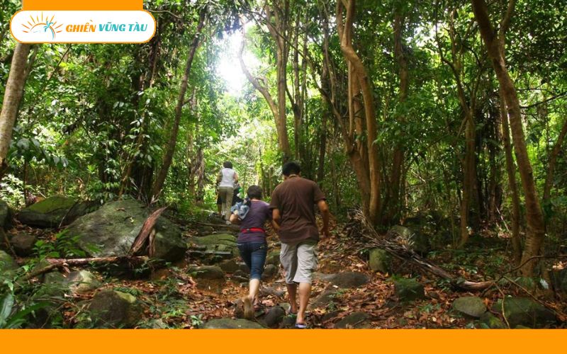 Cẩm nang du lịch Bãi Ông Đụng Côn Đảo chi tiết cho người mới 11 bãi ông đụng