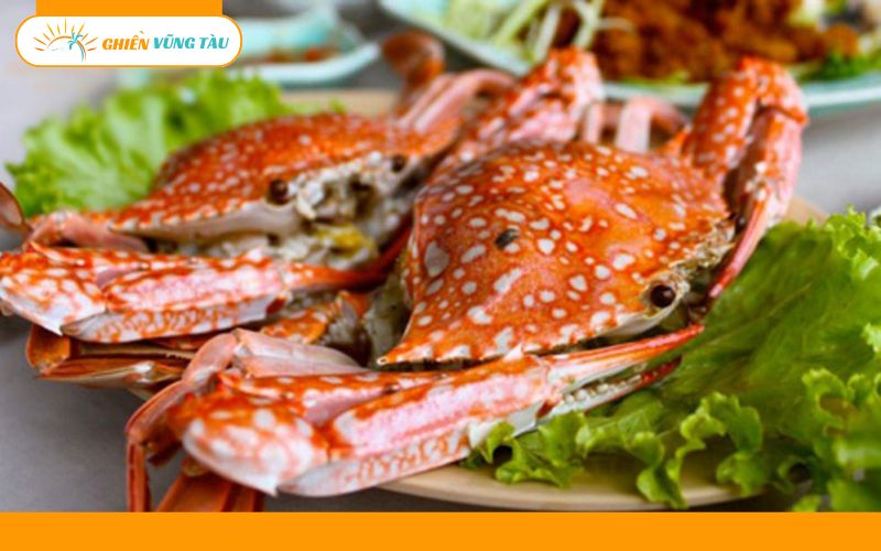 Kinh nghiệm du lịch Bãi Trước Vũng Tàu từ vị trí đến ăn chơi 23 bãi trước vũng tàu