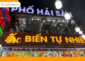 ốc biển tự nhiên vũng tàu