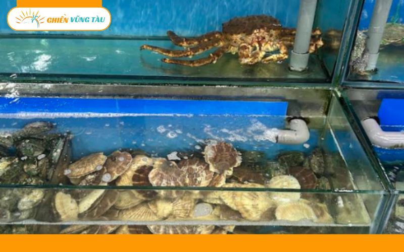 Review mới nhất về quán ốc Đảo Vũng Tàu được nhiều người quan tâm 8 ốc đảo vũng tàu