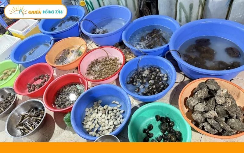 ốc mới vũng tàu