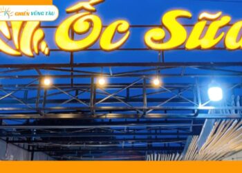 ốc sữa vũng tàu