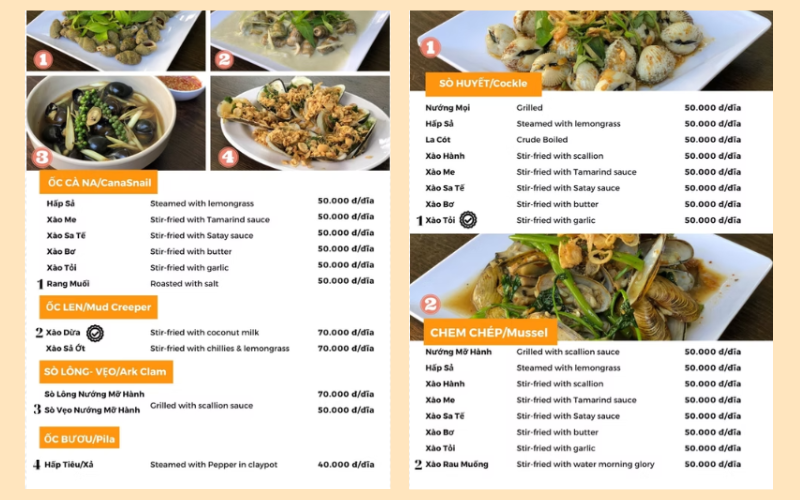 ốc thiên nhiên vũng tàu