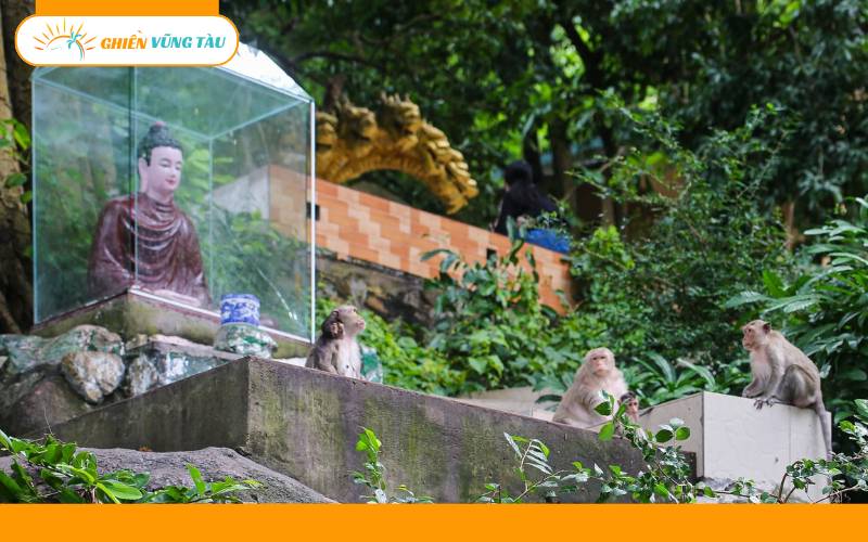 chùa tam bảo vũng tàu
