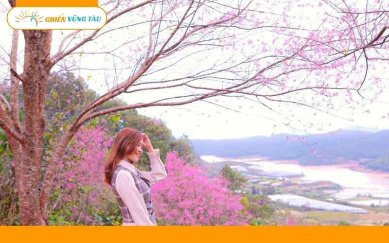 đồi con heo vũng tàu