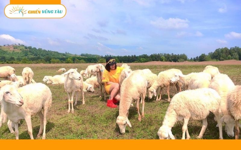 đồng cừu suối nghệ vũng tàu