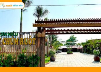 cơm niêu cây chùm ruột