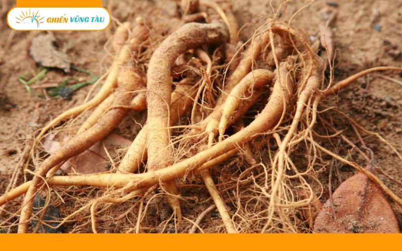 Top các món đặc sản Côn Đảo ngon khó cưỡng, nên mua làm quà 39 đặc sản côn đảo