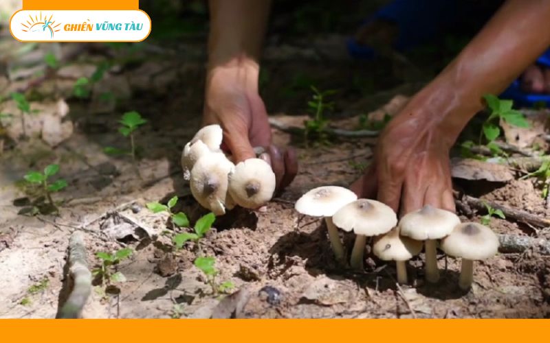 Top 10+ đặc sản Xuyên Mộc khiến du khách ăn một lần là nhớ mãi 18 đặc sản xuyên mộc