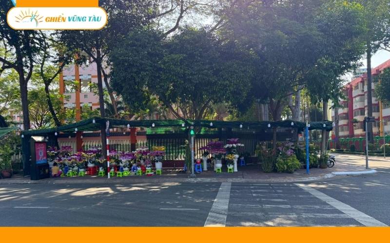 chợ hoa tết vũng tàu