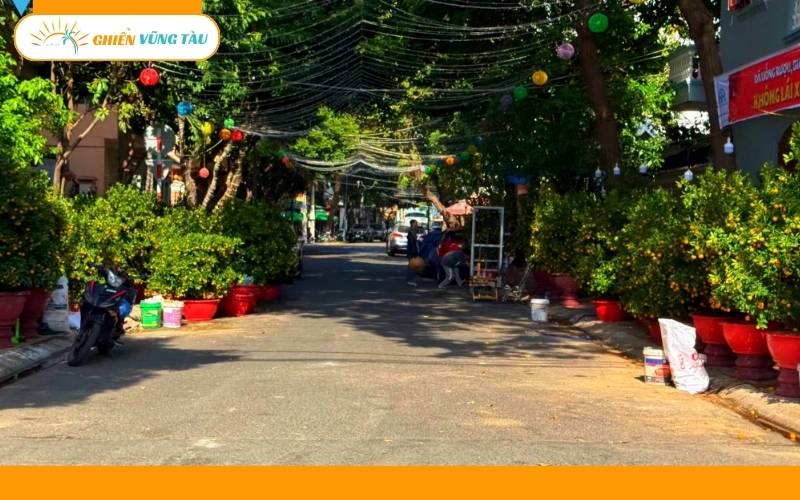 chợ hoa tết vũng tàu