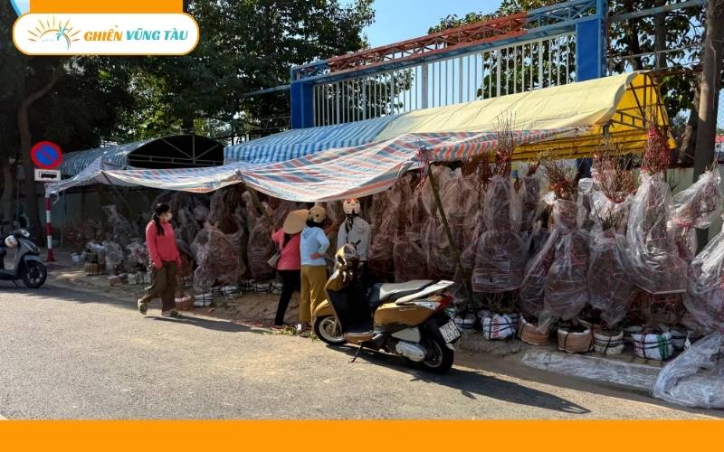 chợ hoa tết vũng tàu