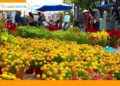 chợ hoa tết vũng tàu