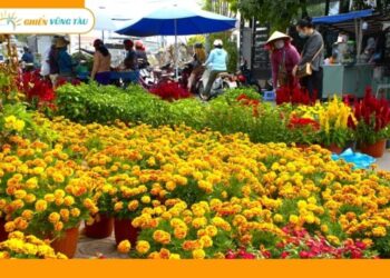 chợ hoa tết vũng tàu