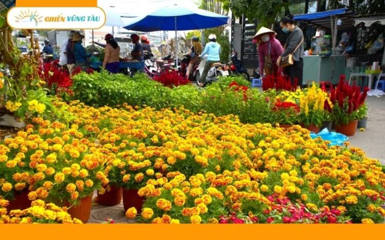 chợ hoa tết vũng tàu