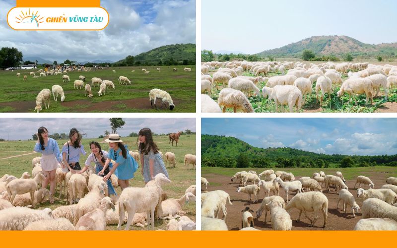 du lịch vũng tàu ngày tết