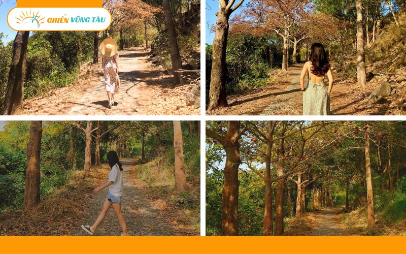 du lịch vũng tàu ngày tết