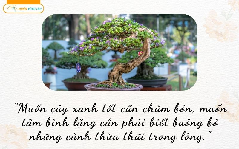 câu nói hay về chơi cây cảnh