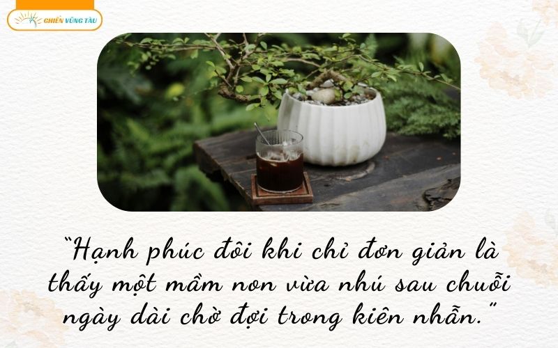 câu nói hay về chơi cây cảnh