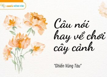 câu nói hay về chơi cây cảnh