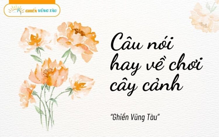 câu nói hay về chơi cây cảnh