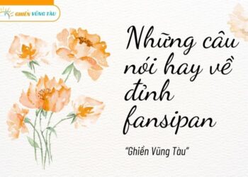 những câu nói hay về đỉnh fansipan