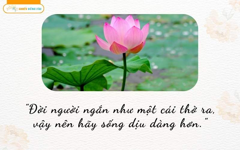 câu nói hay về vô thường