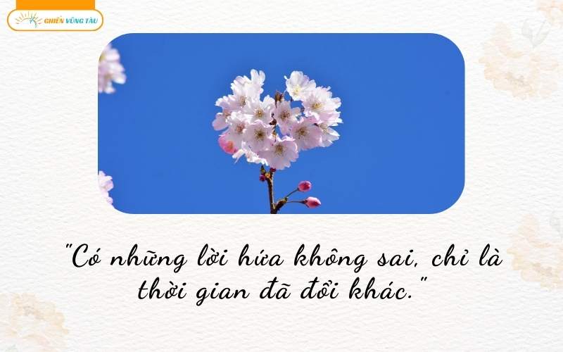 câu nói hay về vô thường