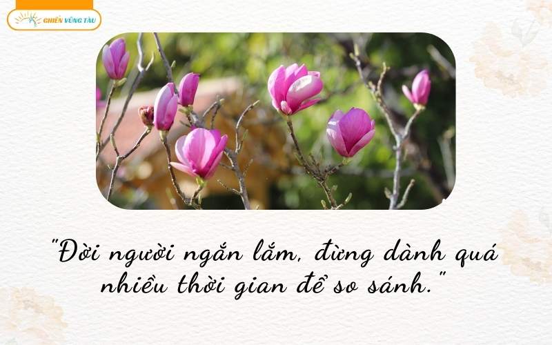 câu nói hay về vô thường