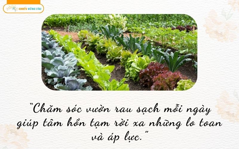 câu nói hay về vườn rau sạch