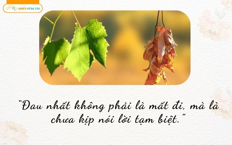 những câu nói hay về sinh ly tử biệt