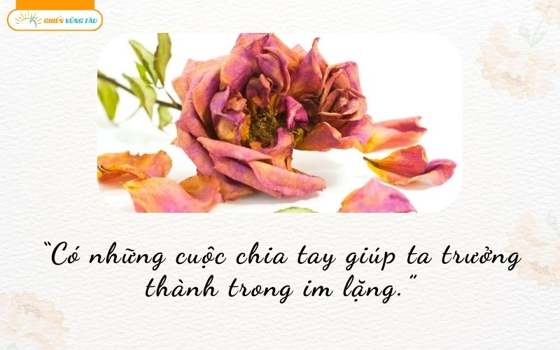 những câu nói hay về sinh ly tử biệt