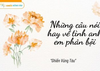 những câu nói hay về tình anh em phản bội