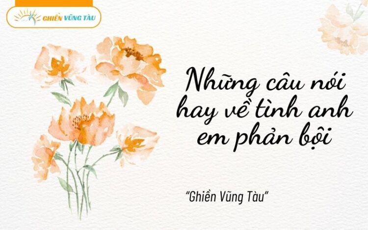 Những câu nói hay về tình anh em phản bội khiến bạn suy ngẫm 3 những câu nói hay về tình anh em phản bội