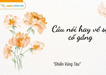 câu nói hay về sự cố gắng