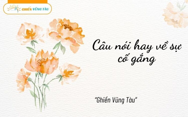 câu nói hay về sự cố gắng