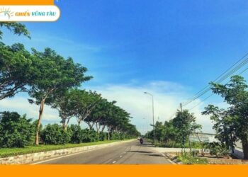 đường long sơn vũng tàu