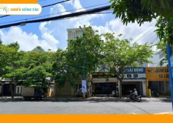 đường lương thế vinh vũng tàu