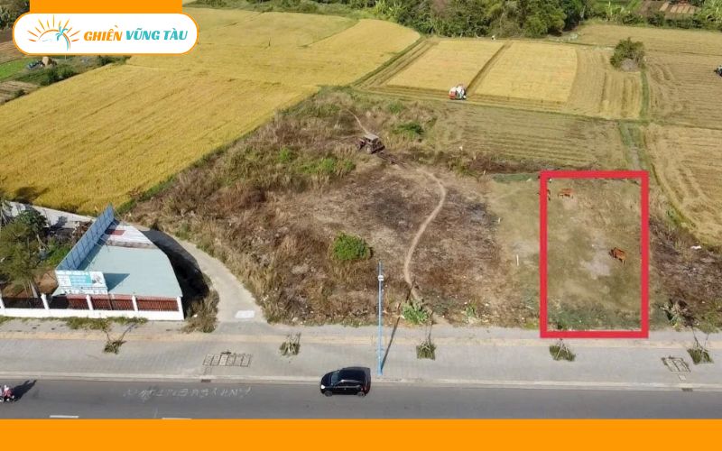 đường tú xương vũng tàu