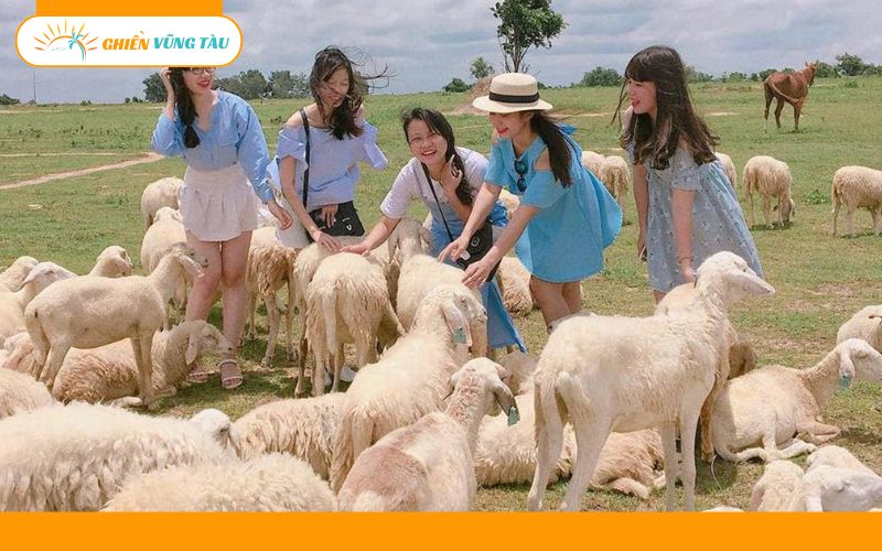 kinh nghiệm du lịch vũng tàu cho gia đình