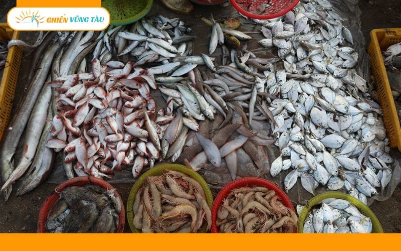 kinh nghiệm mua hải sản ở vũng tàu